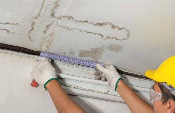 Reliable Water Damage contractor in Hollis, OK by Water Damage Irwin